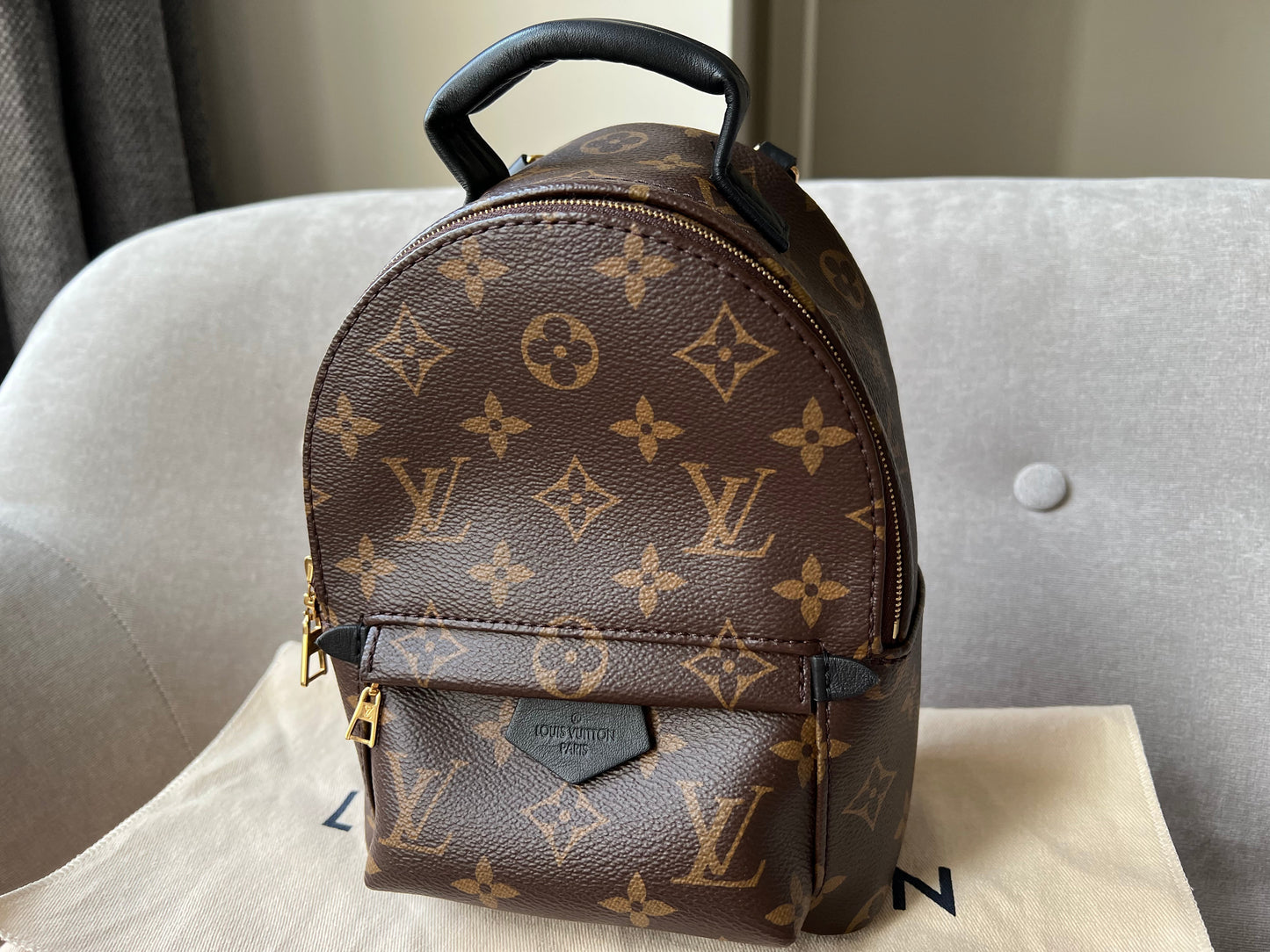 Louis Vuitton Palm Springs Mini Backpack (RRP £1,740)