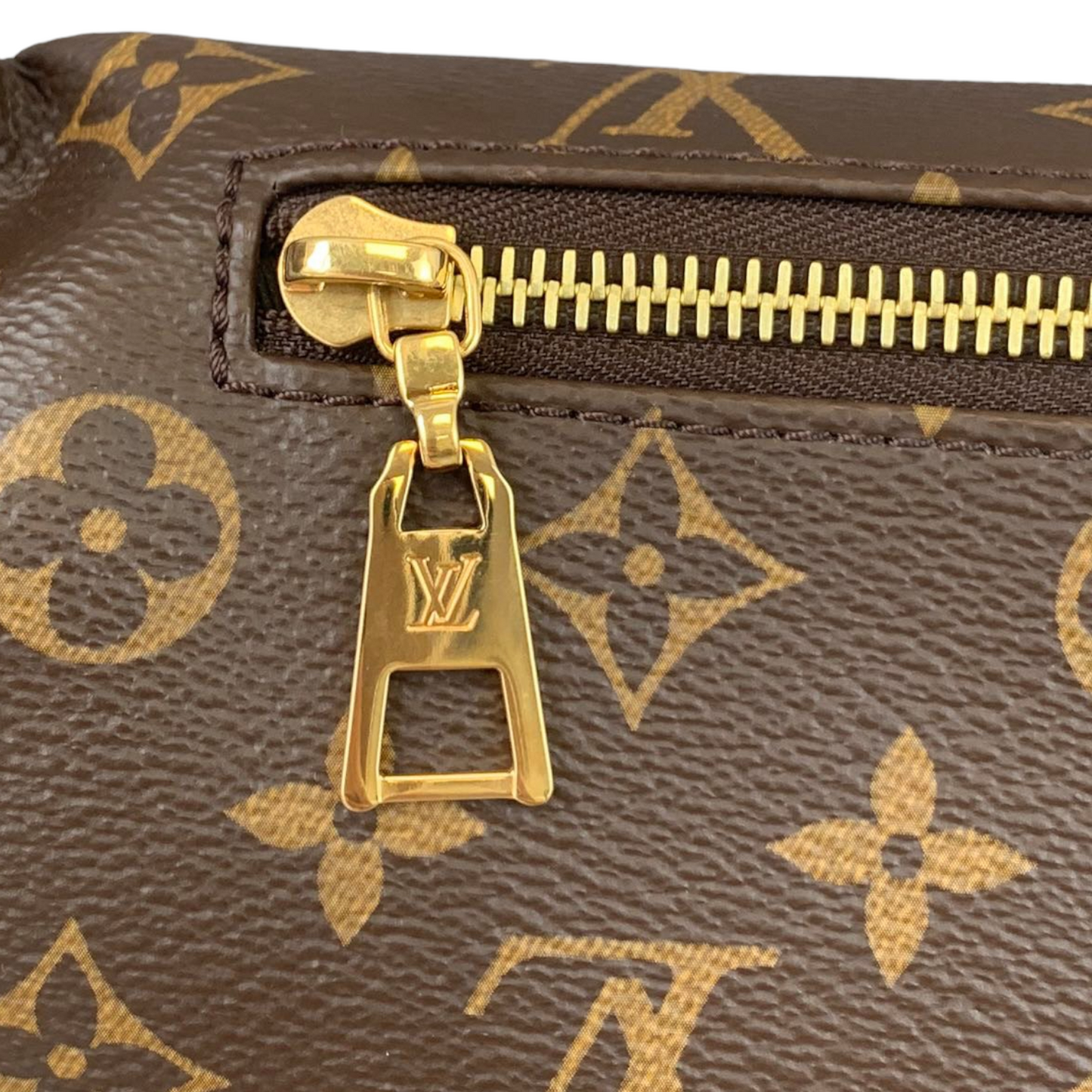 Louis-Vuitton Monogram Bum Bag Monogram GHW