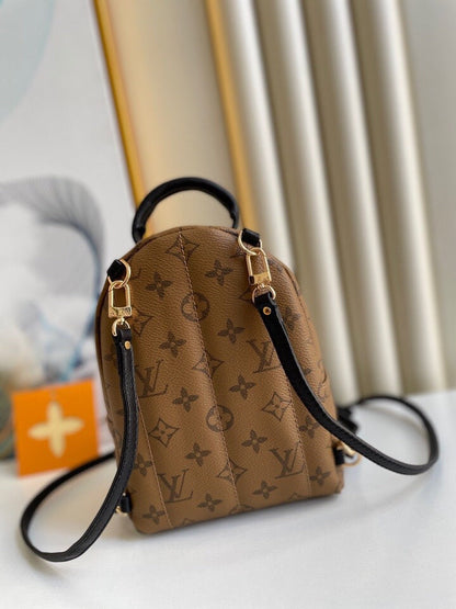 Louis Vuitton Palm Spring Mini Bag