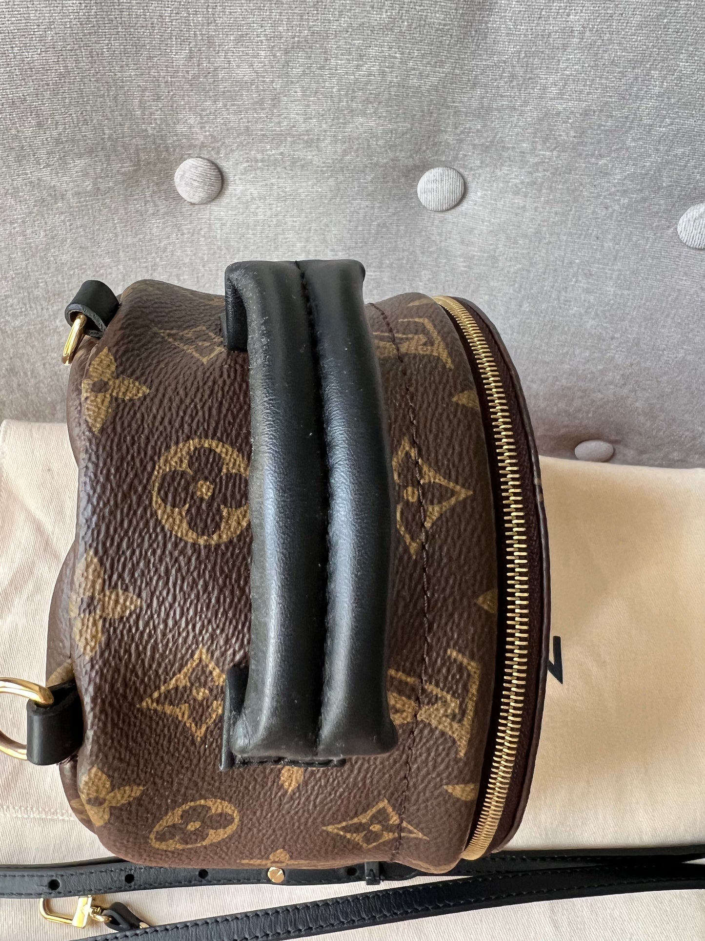 Louis Vuitton Palm Springs Mini Backpack (RRP £1,740)