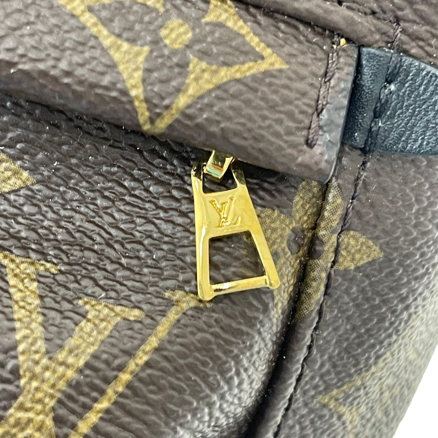 Louis-Vuitton Mini Palm Springs Monogram GHW