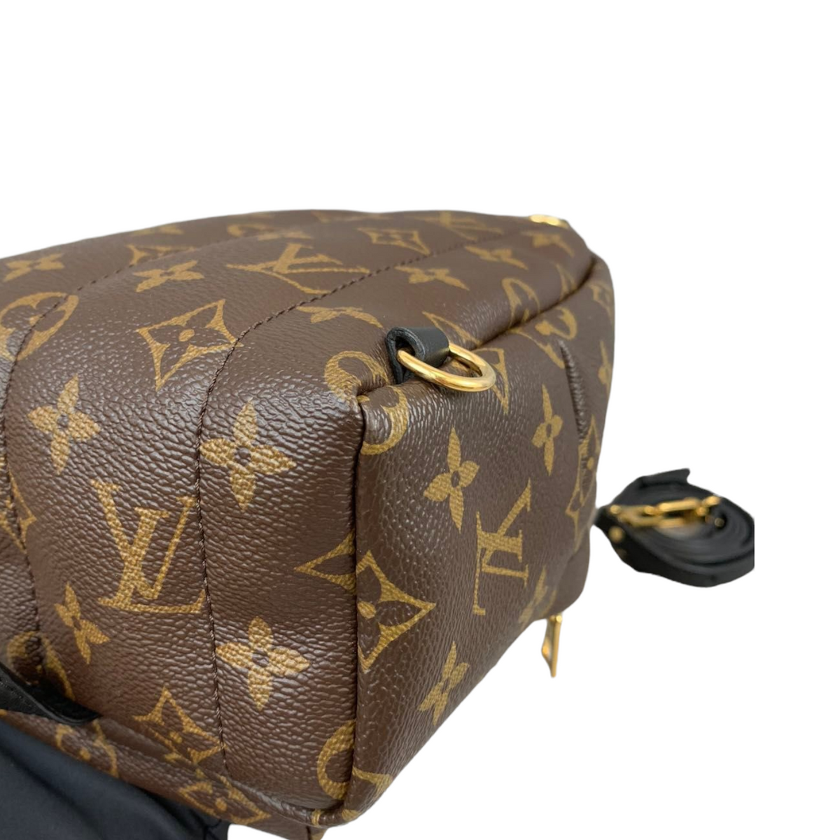 Louis-Vuitton Mini Palm Springs Monogram World Tour GHW