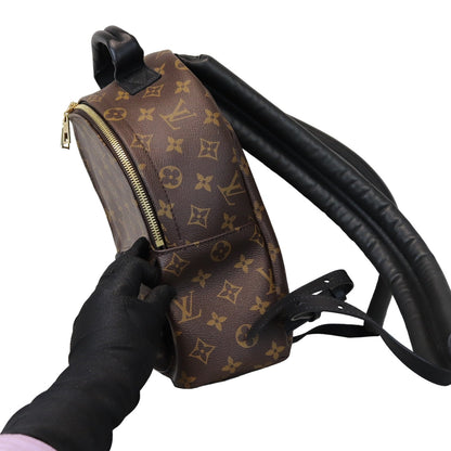 Louis-Vuitton Monogram Palm Springs PM Backpack