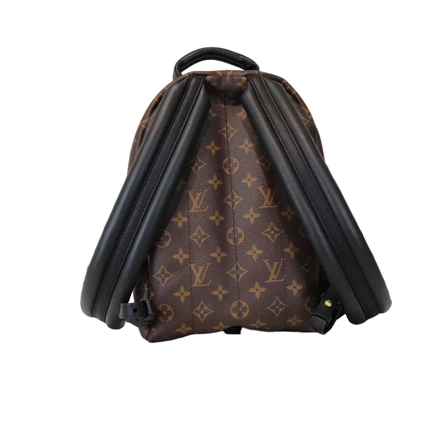Louis-Vuitton Monogram Palm Springs PM Backpack