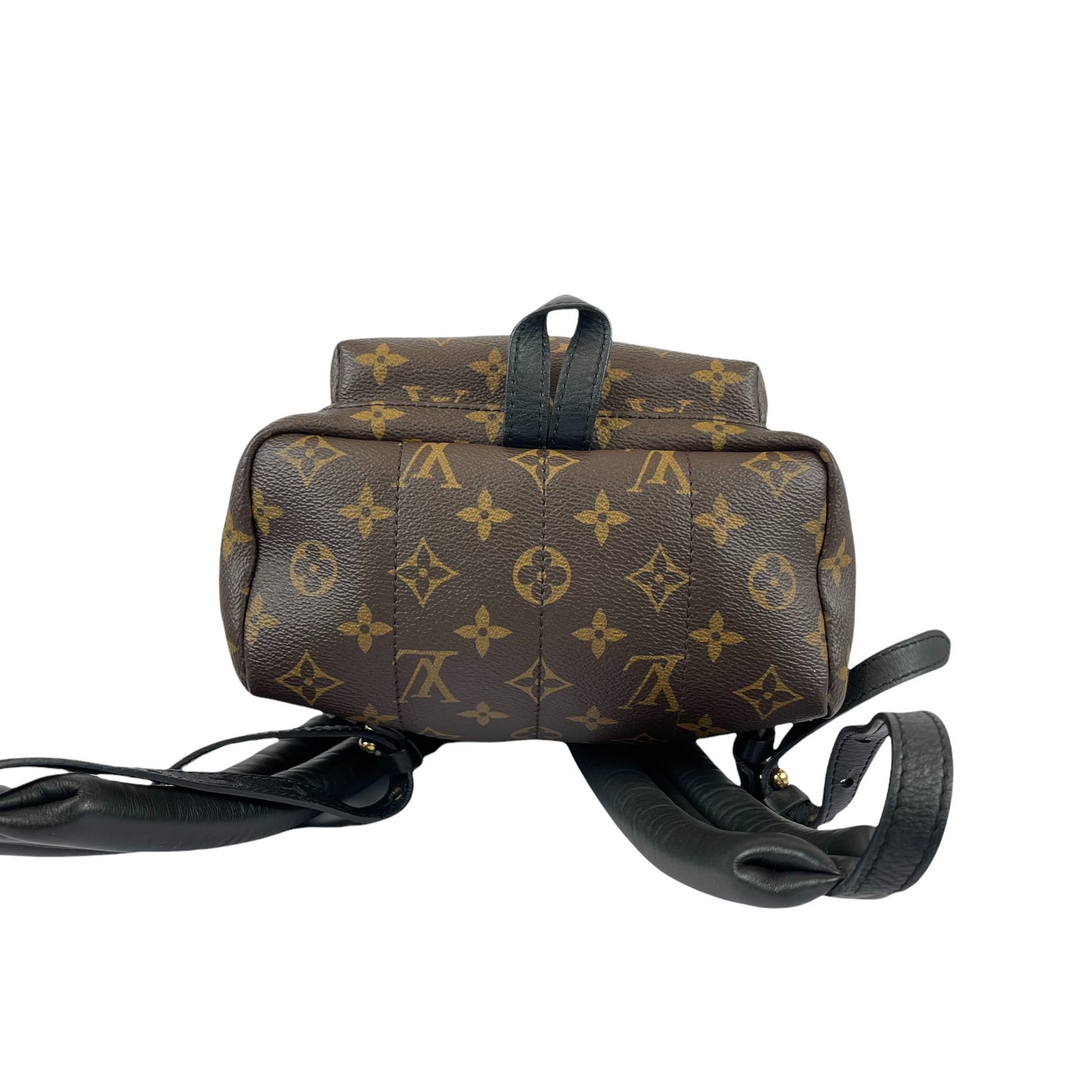 Louis-Vuitton Palm Springs PM Monogram Brown GHW