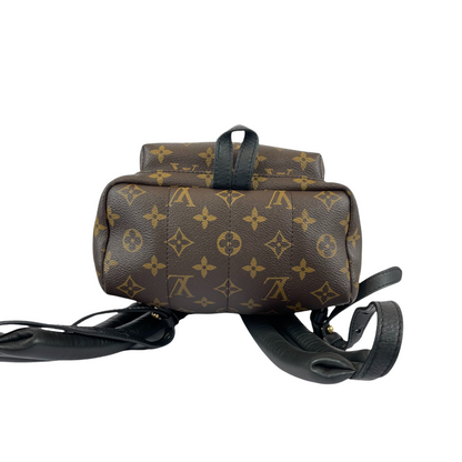 Louis-Vuitton Palm Springs PM Monogram Brown GHW