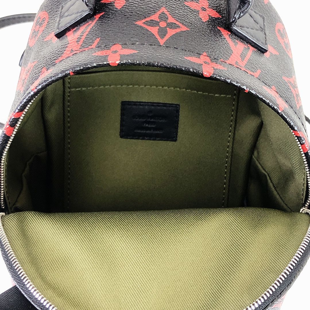 Louis-Vuitton Mini Palm Springs Infrarouge Canvas GHW