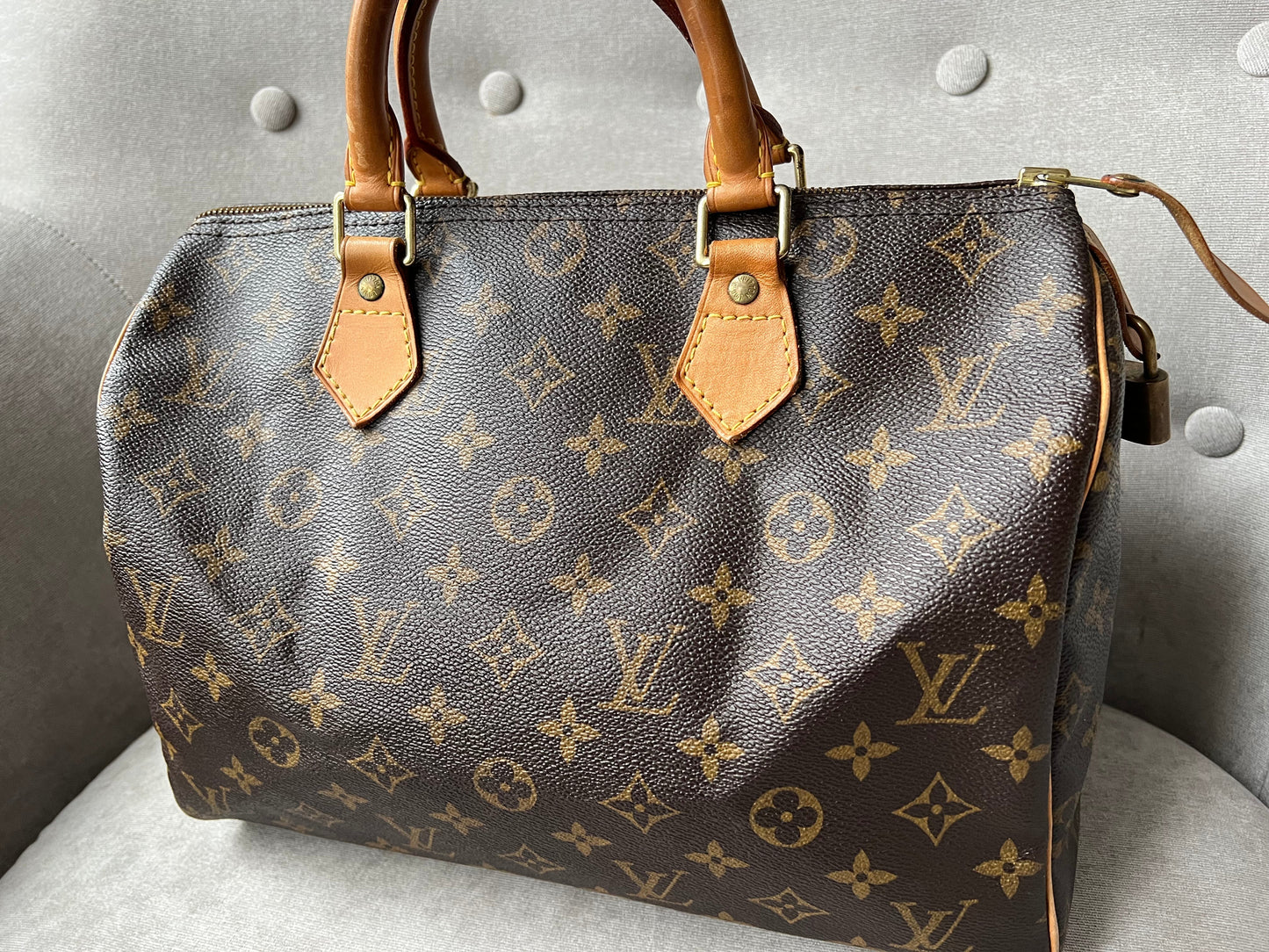 Louis Vuitton Speedy 30 Monogram