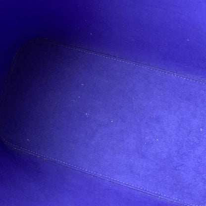 Louis-Vuitton Epi Neverfull MM Purple