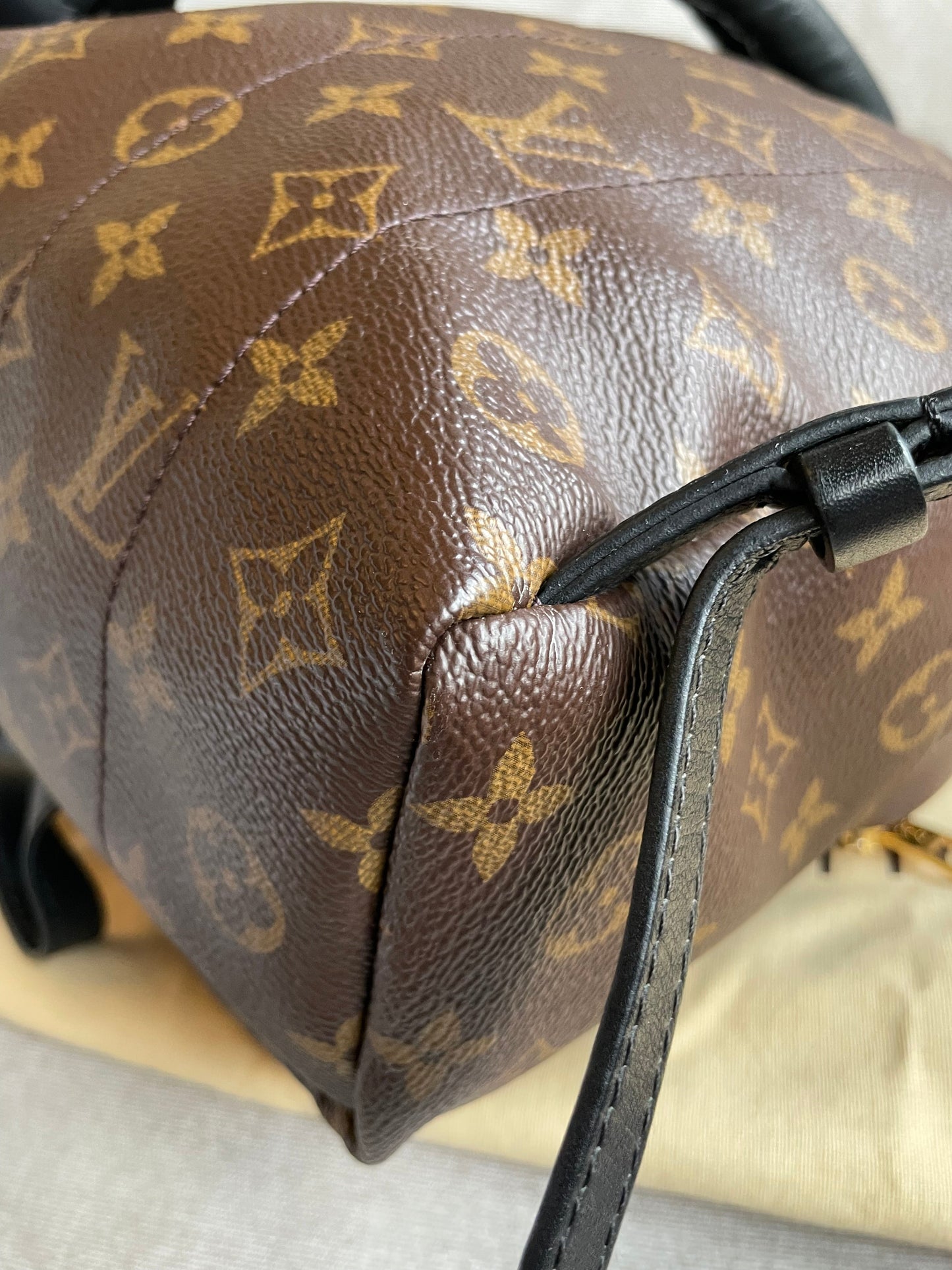 Louis Vuitton Palm Springs PM Backpack (RRP £1,830)