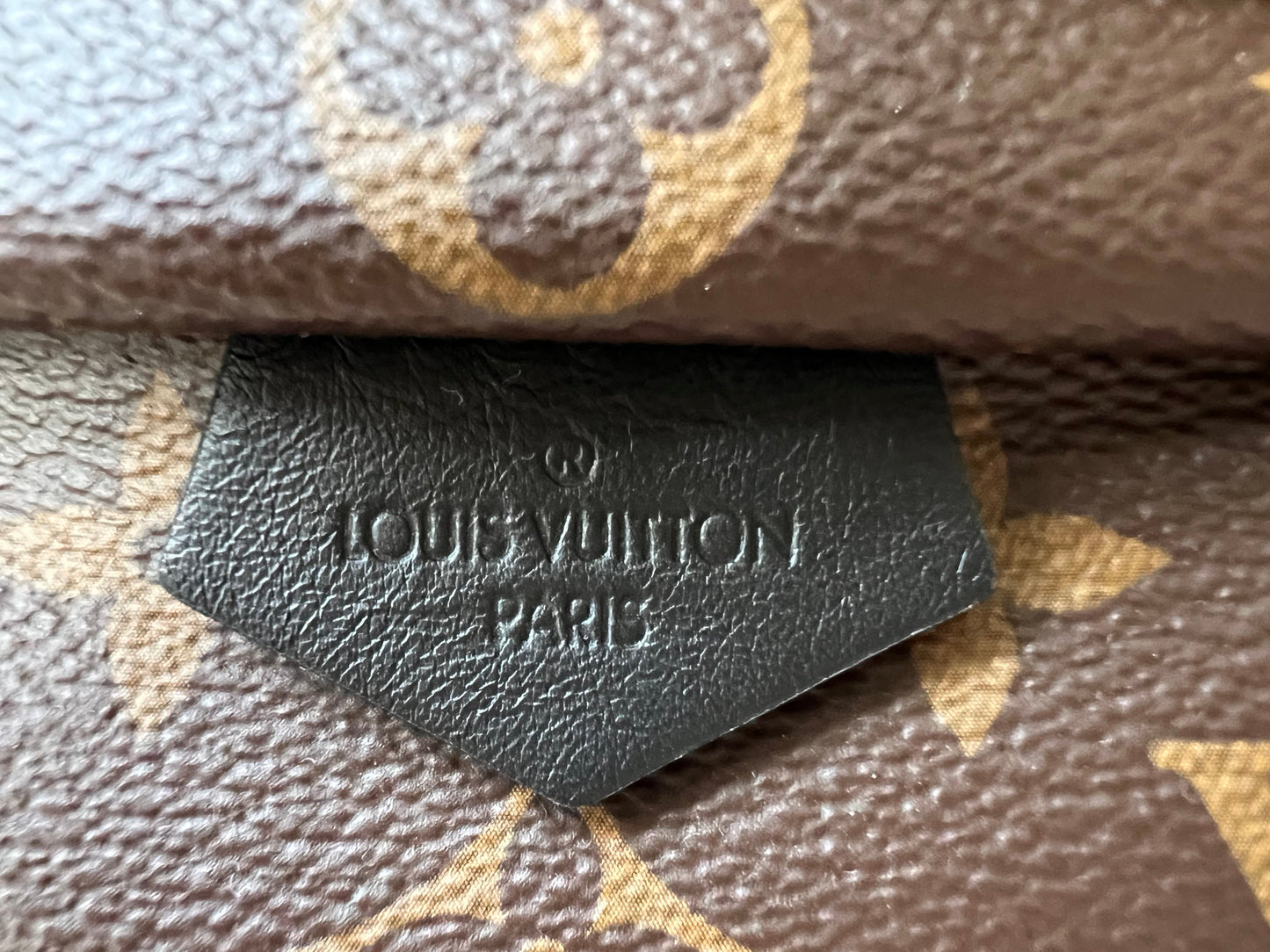 Louis Vuitton Palm Springs Mini Backpack (RRP £1,740)