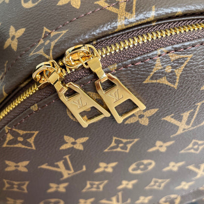 Louis Vuitton Palm Spring MM Bag