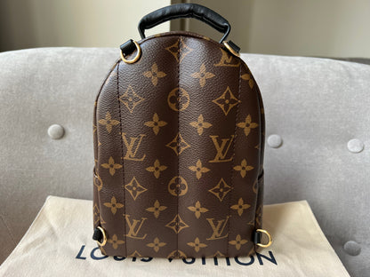 Louis Vuitton Palm Springs Mini Backpack (RRP £1,740)