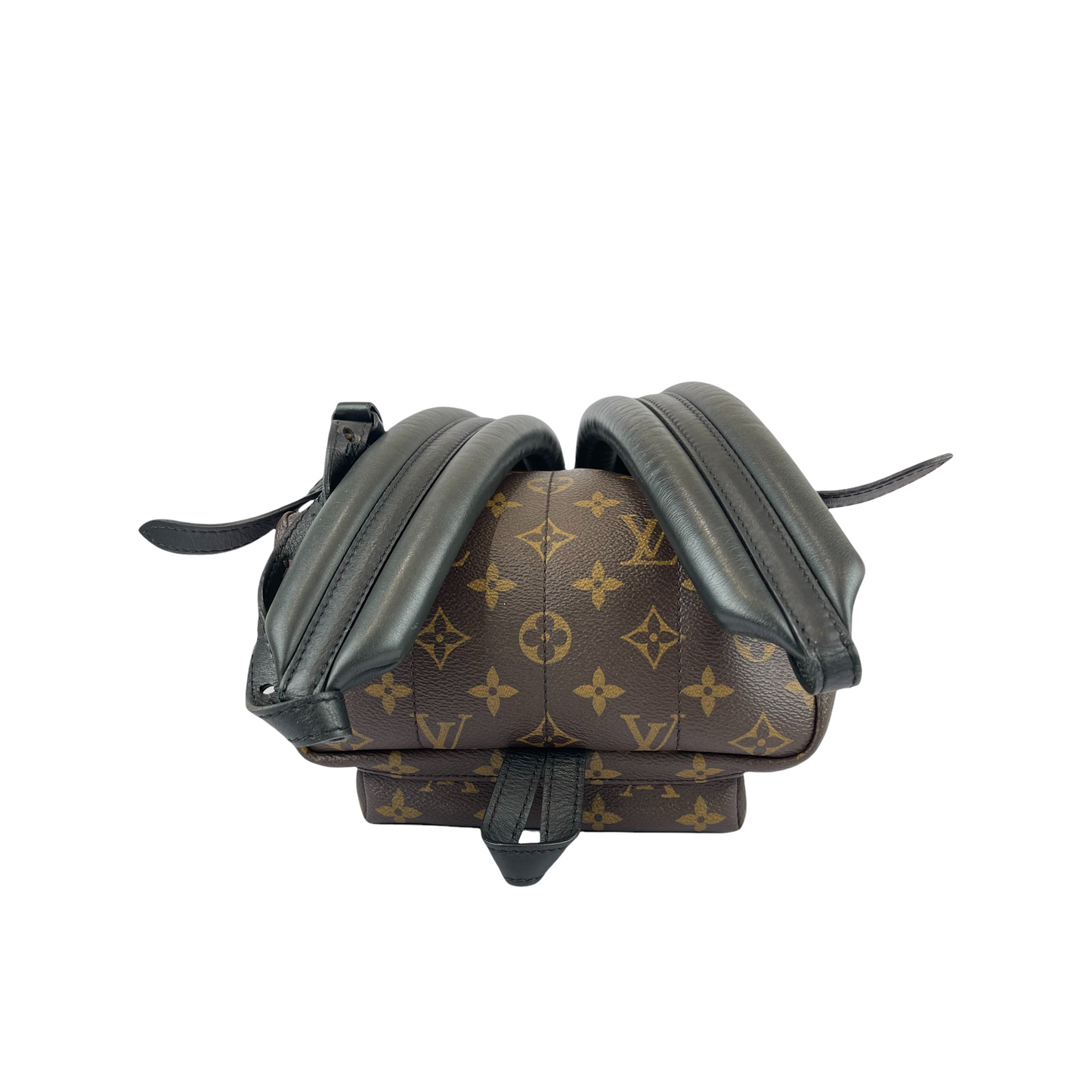 Louis-Vuitton Palm Springs PM Monogram Brown GHW