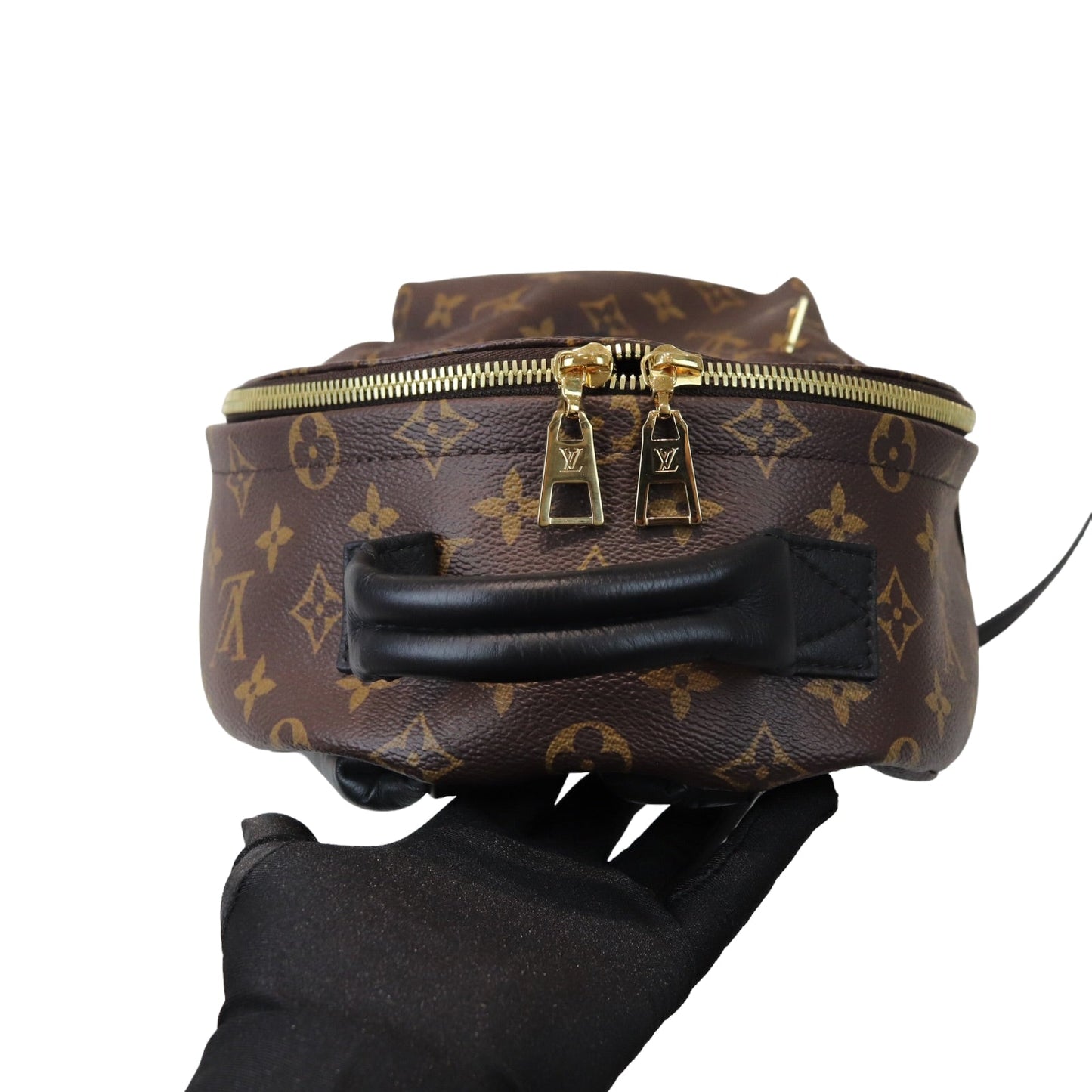 Louis-Vuitton Monogram Palm Springs PM Backpack
