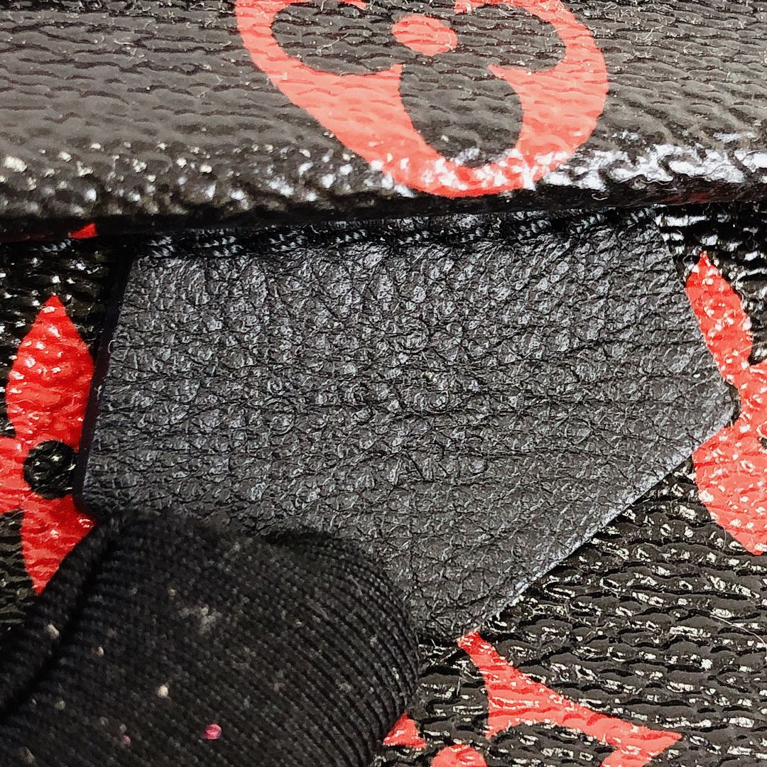 Louis-Vuitton Mini Palm Springs Infrarouge Canvas GHW