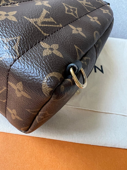 Louis Vuitton Palm Springs Mini Backpack (RRP £1,740)