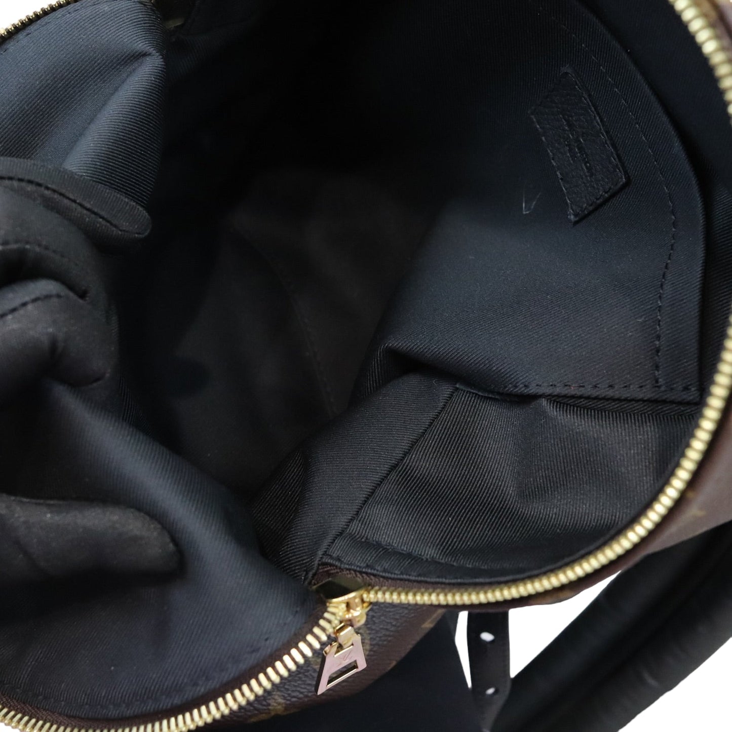 Louis-Vuitton Monogram Palm Springs PM Backpack