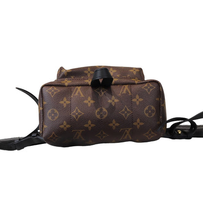 Louis-Vuitton Monogram Palm Springs PM Backpack