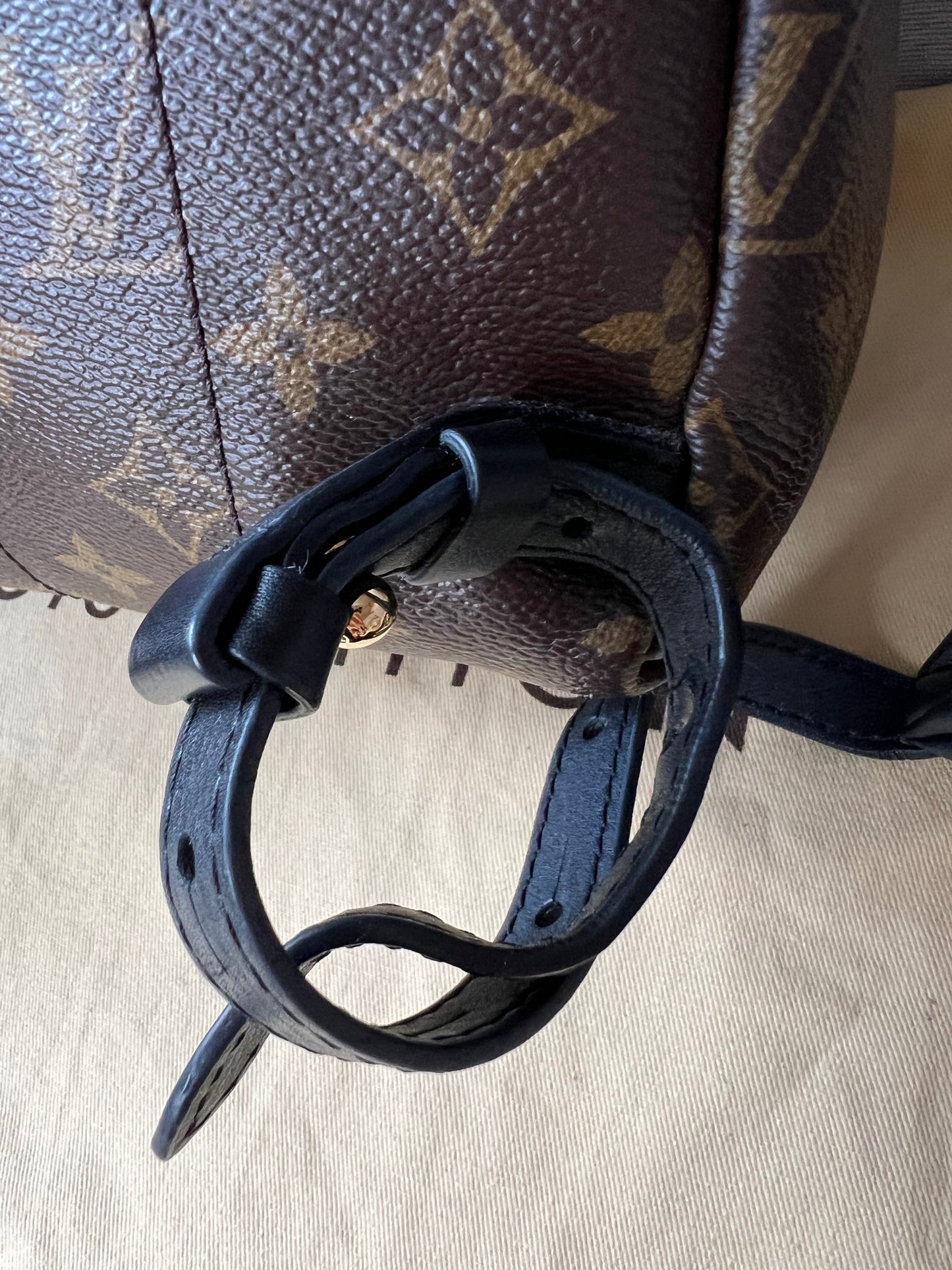 Louis Vuitton Palm Springs PM Backpack (RRP £1,830)