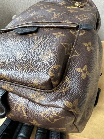 Louis Vuitton Palm Springs PM Backpack (RRP £1,830)