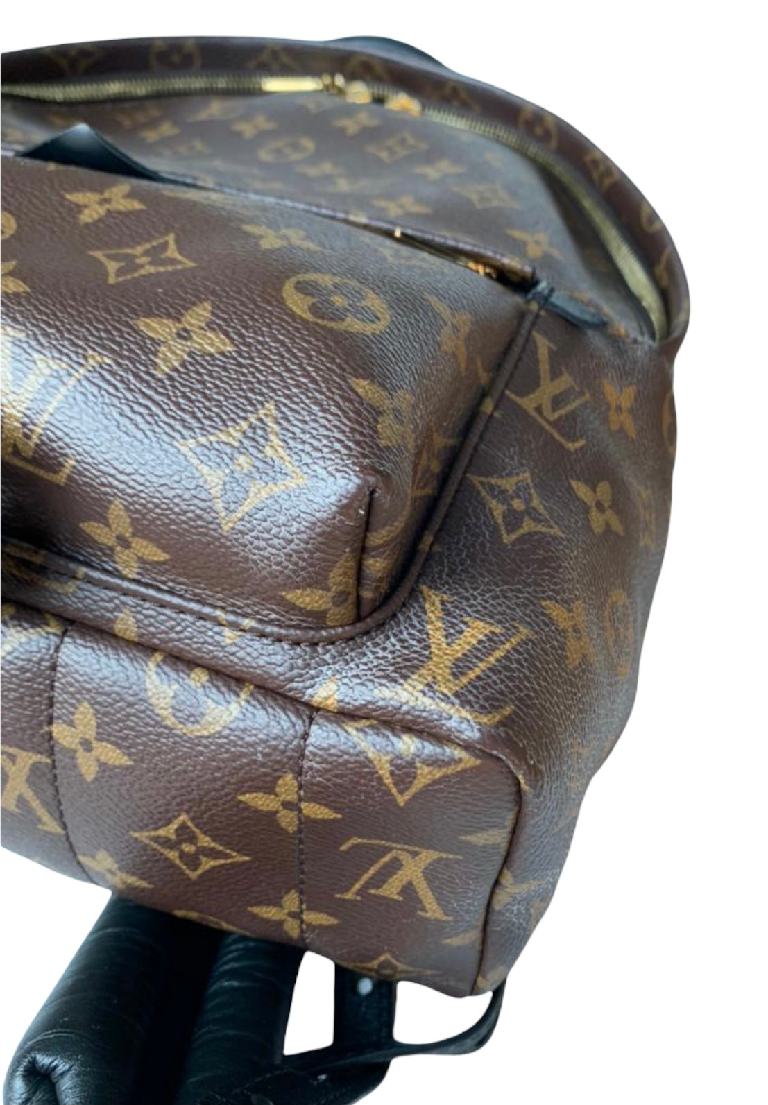 Louis-Vuitton Monogram Palm Springs MM Brown