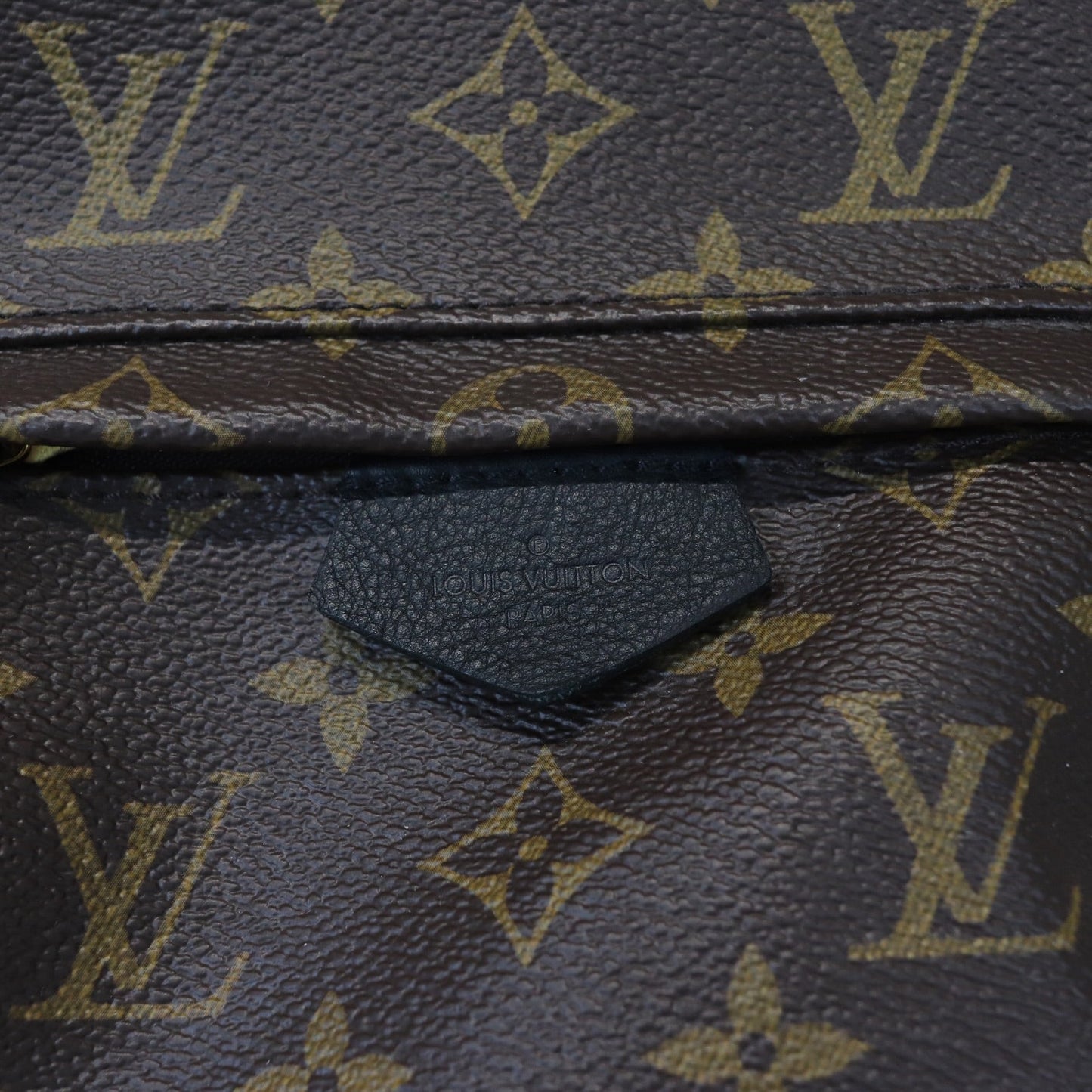 Louis-Vuitton Monogram Palm Springs PM Backpack