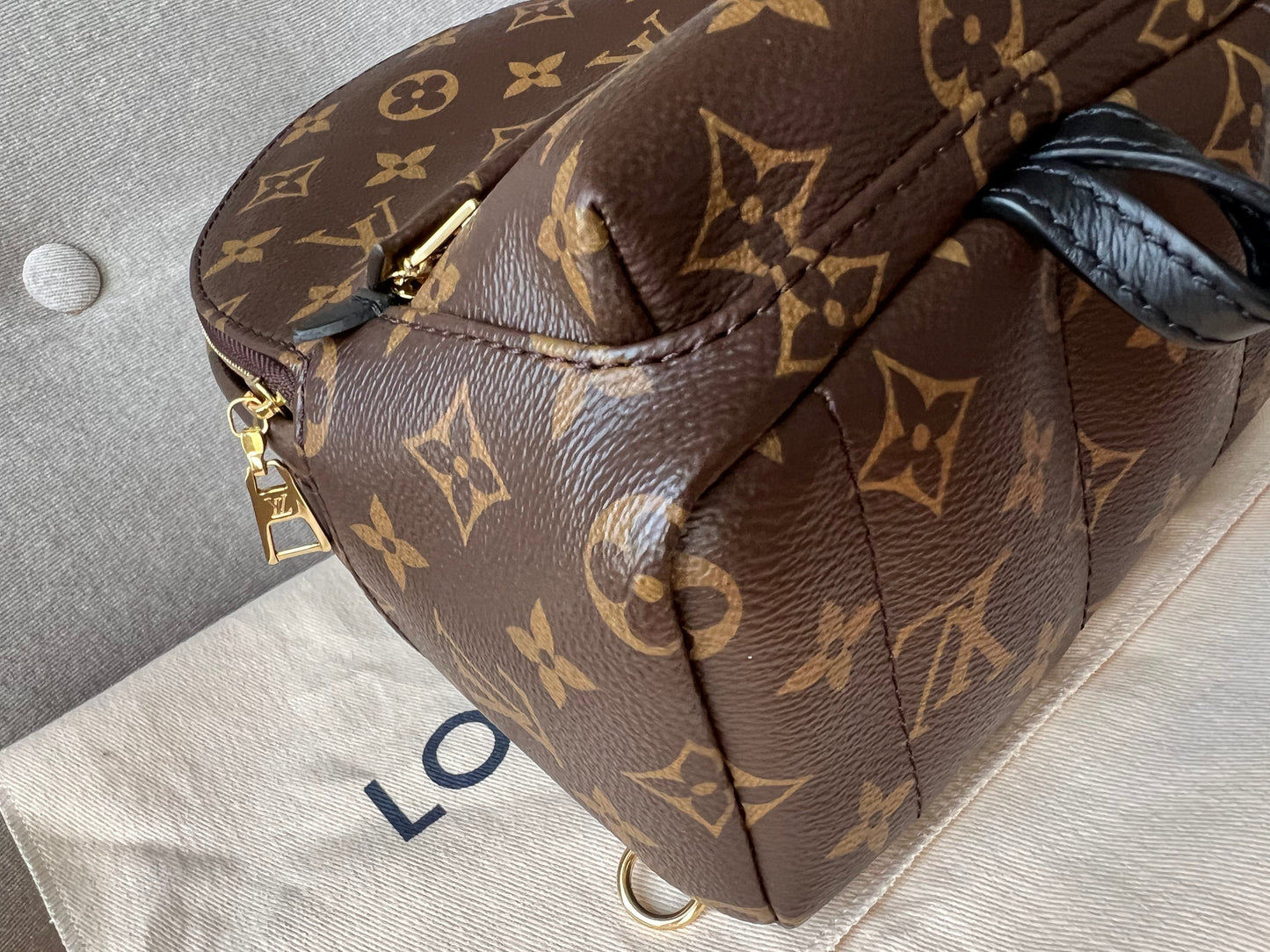 Louis Vuitton Palm Springs Mini Backpack (RRP £1,740)