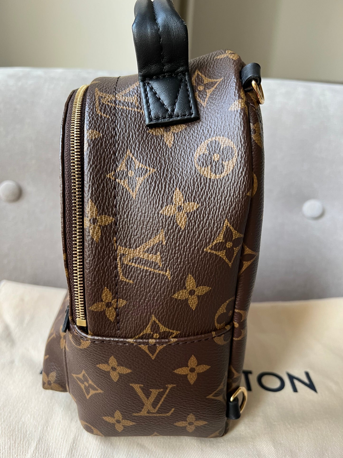 Louis Vuitton Palm Springs Mini Backpack (RRP £1,740)