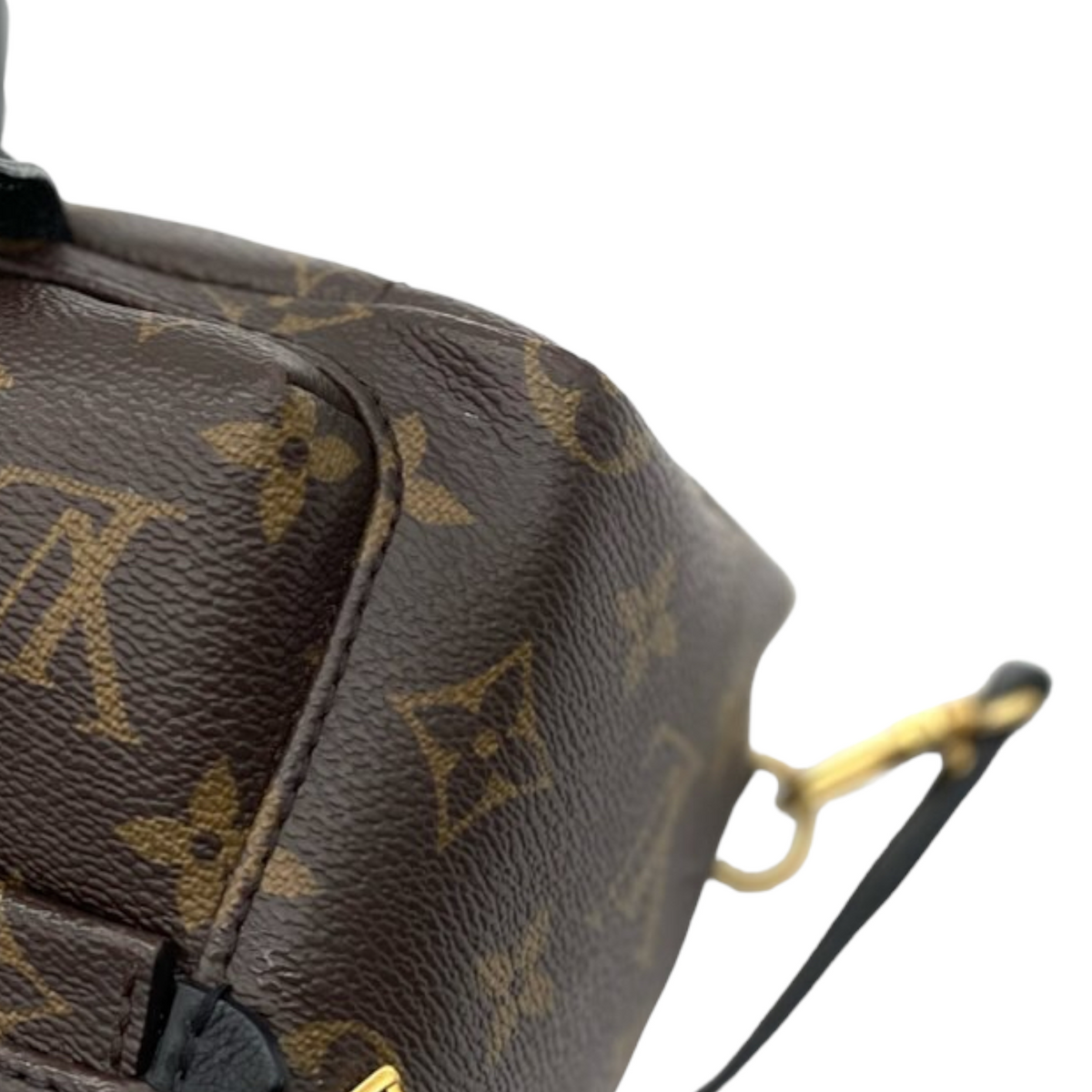 Louis-Vuitton Mini Palm Springs Monogram Badges GHW