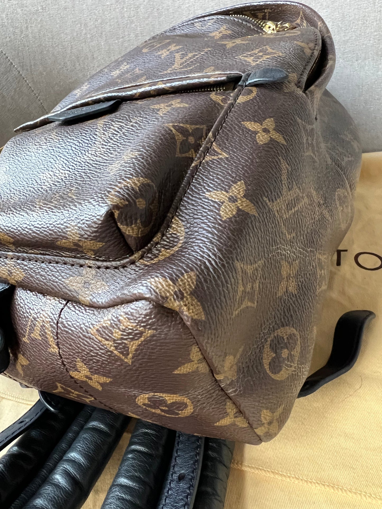 Louis Vuitton Palm Springs PM Backpack (RRP £1,830)