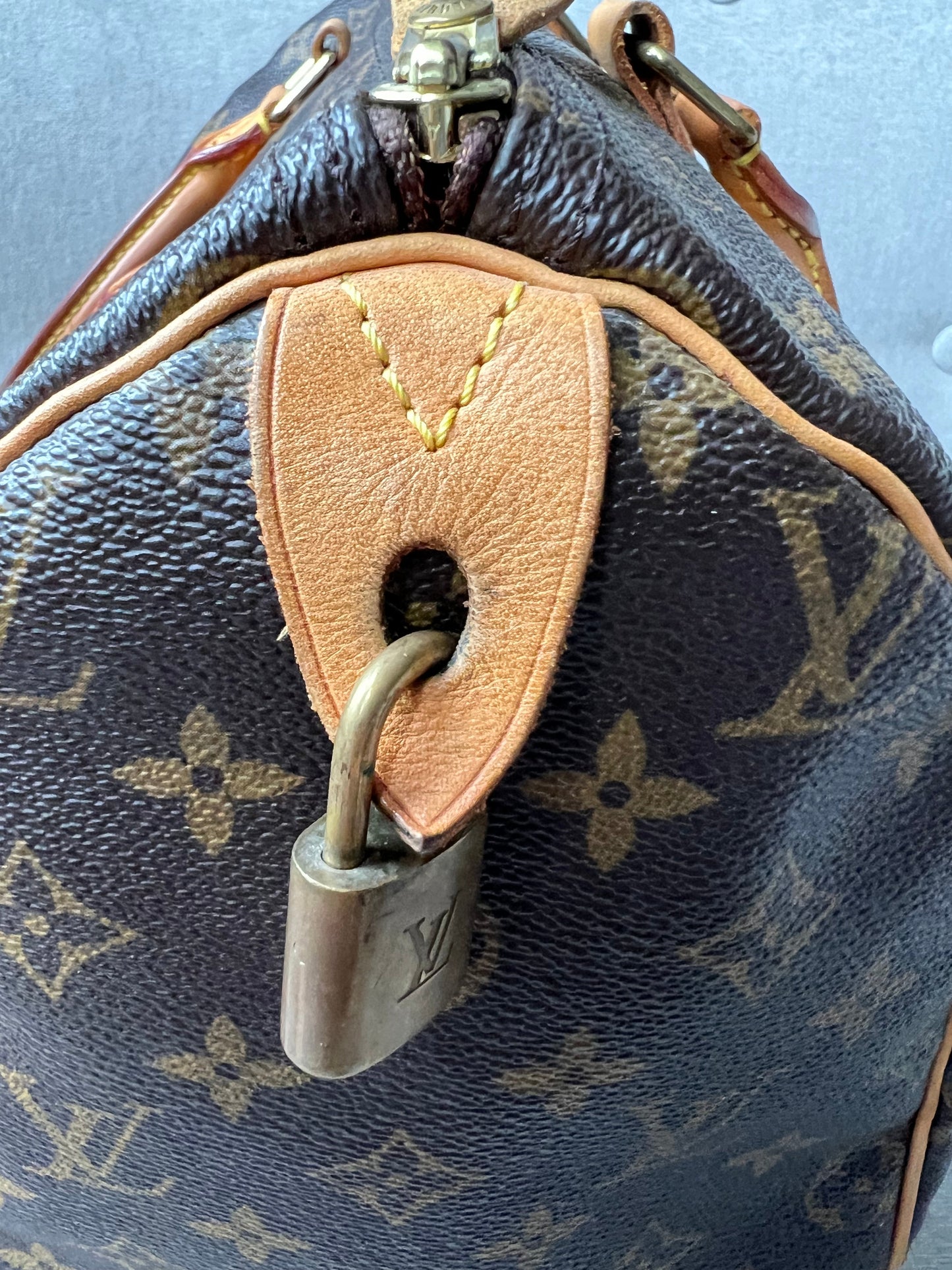 Louis Vuitton Speedy 30 Monogram