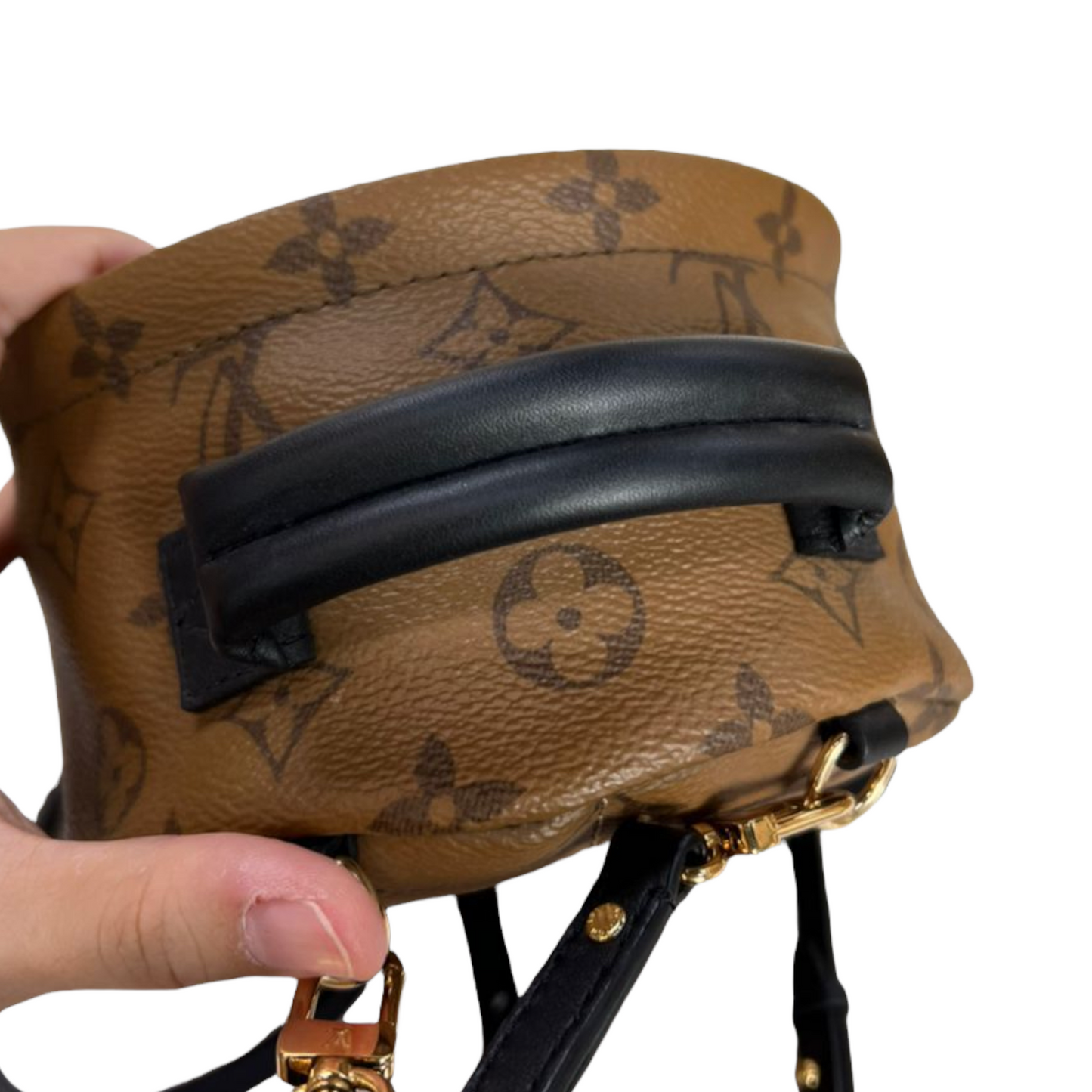 Louis-Vuitton Monogram Reverse Palm Springs Mini GHW