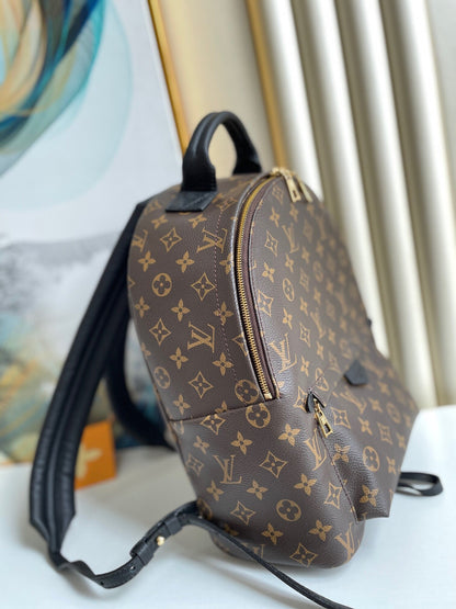 Louis Vuitton Palm Spring MM Bag