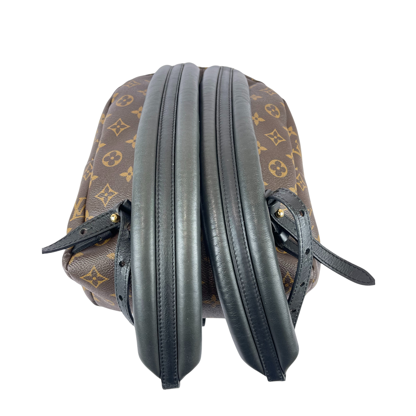 Louis-Vuitton Palm Springs PM Monogram Brown GHW
