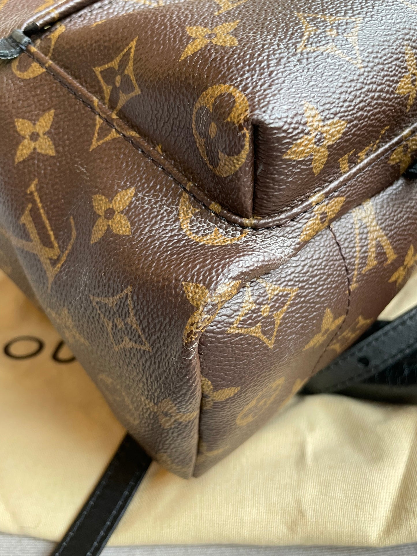 Louis Vuitton Palm Springs PM Backpack (RRP £1,830)