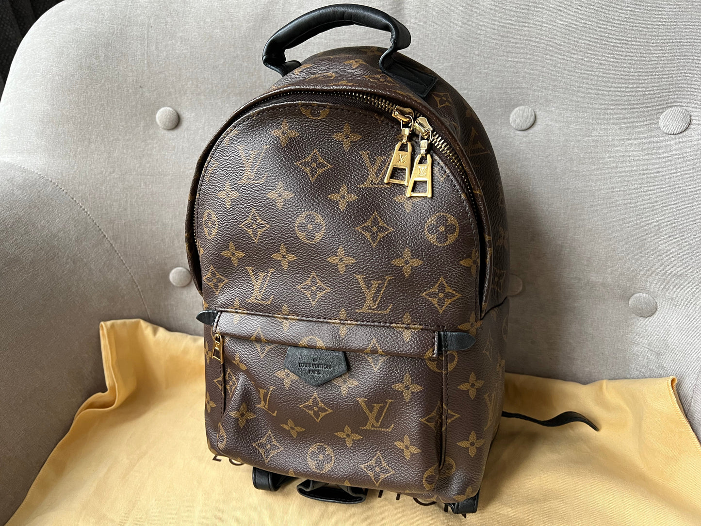 Louis Vuitton Palm Springs PM Backpack (RRP £1,830)