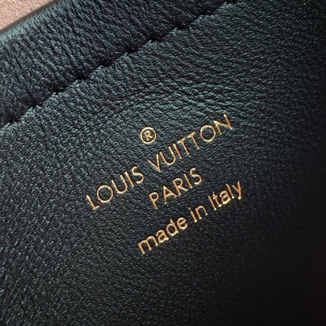 Louis Vuitton Pochette Coussin Bag