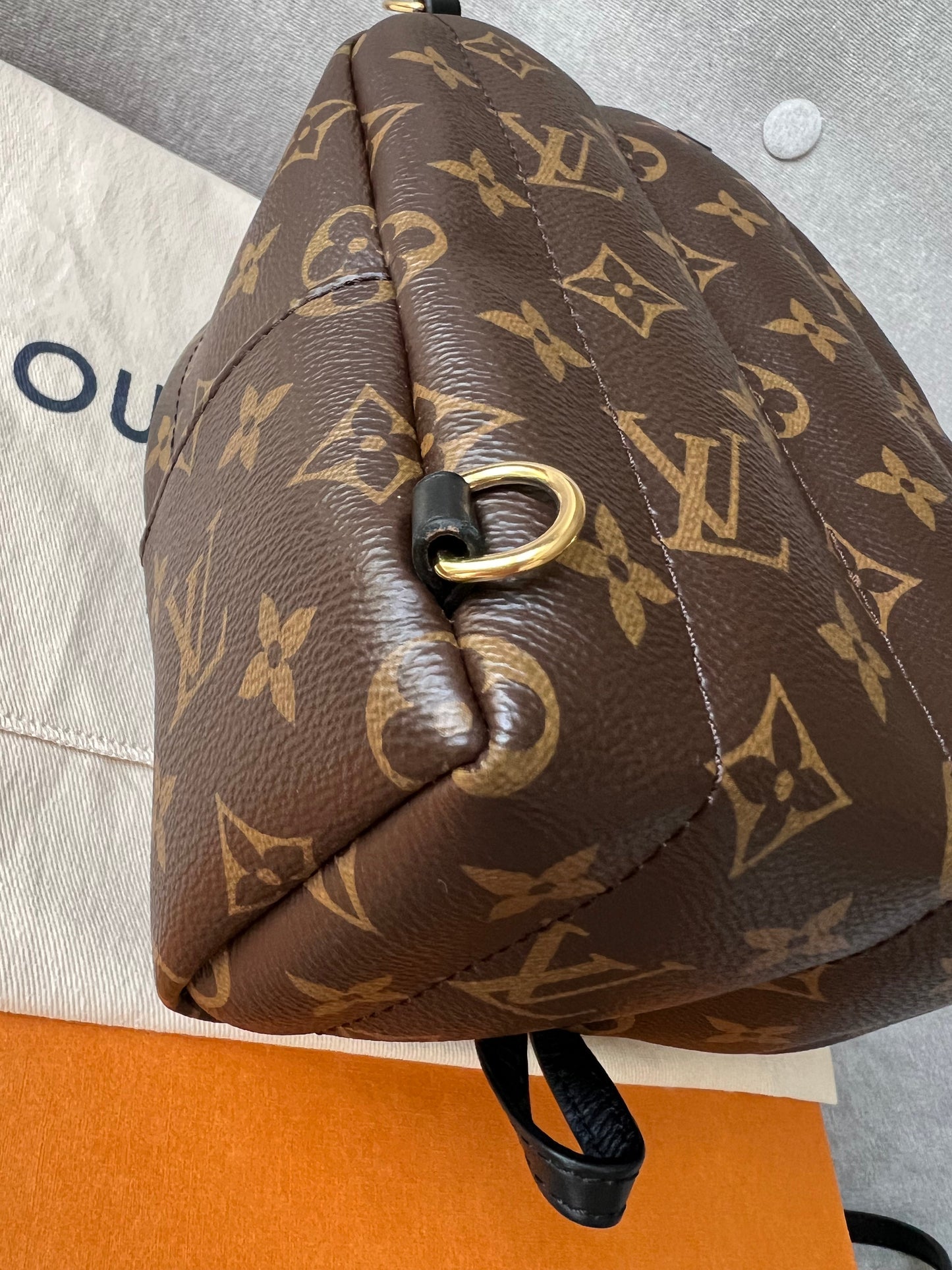 Louis Vuitton Palm Springs Mini Backpack (RRP £1,740)