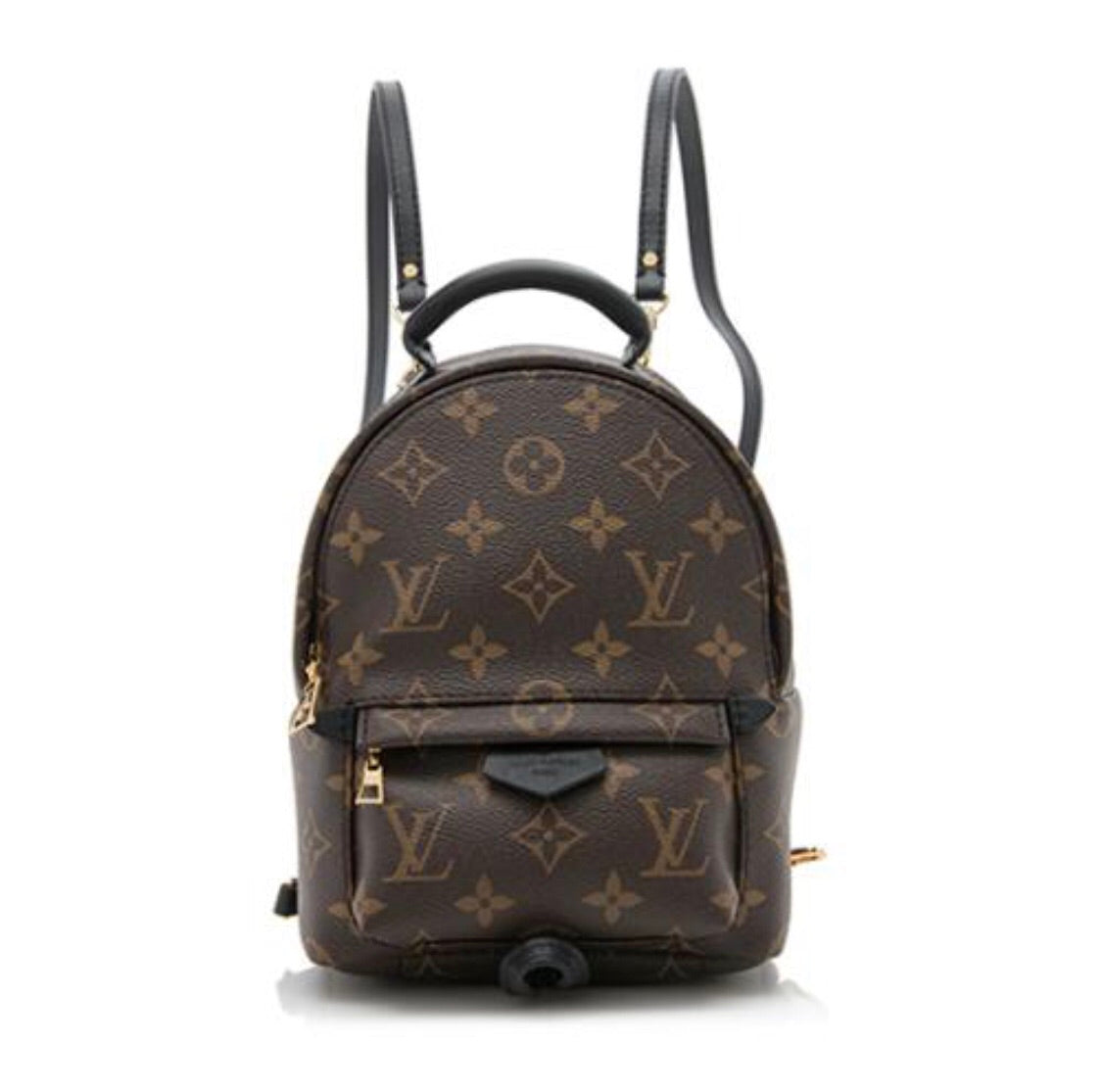 Louis Vuitton Palm Springs Mini Backpack