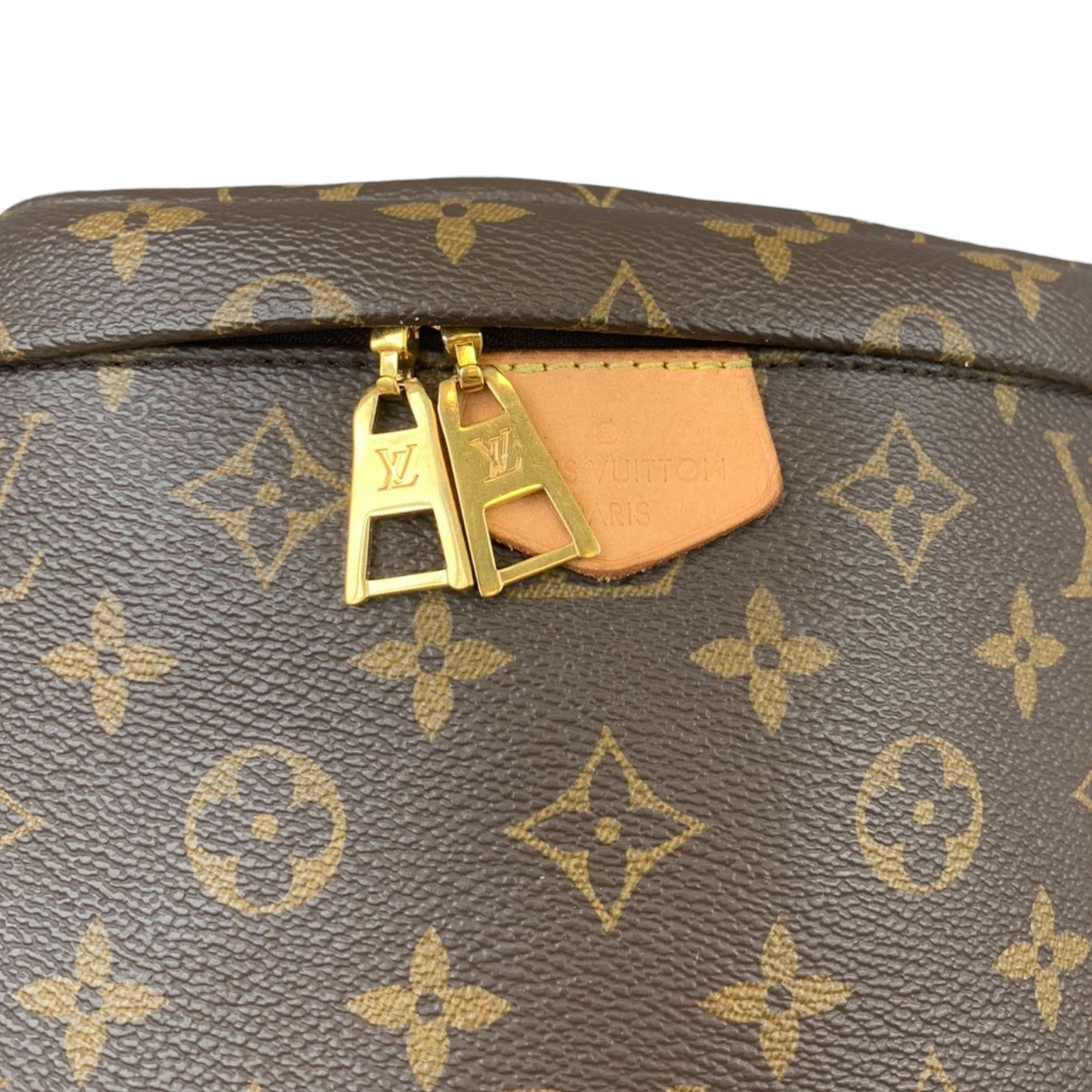 Louis-Vuitton Monogram Bum Bag Fanny GHW