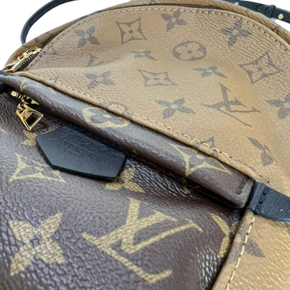 Louis-Vuitton Monogram Reverse Palm Springs Mini GHW