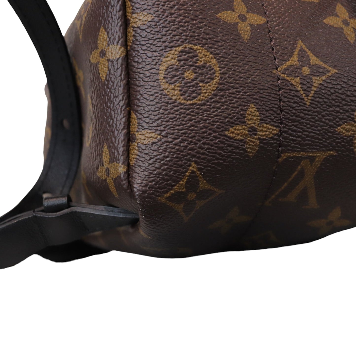 Louis-Vuitton Monogram Palm Springs PM Backpack