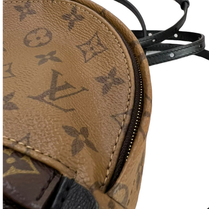 Louis-Vuitton Monogram Reverse Palm Springs Mini GHW