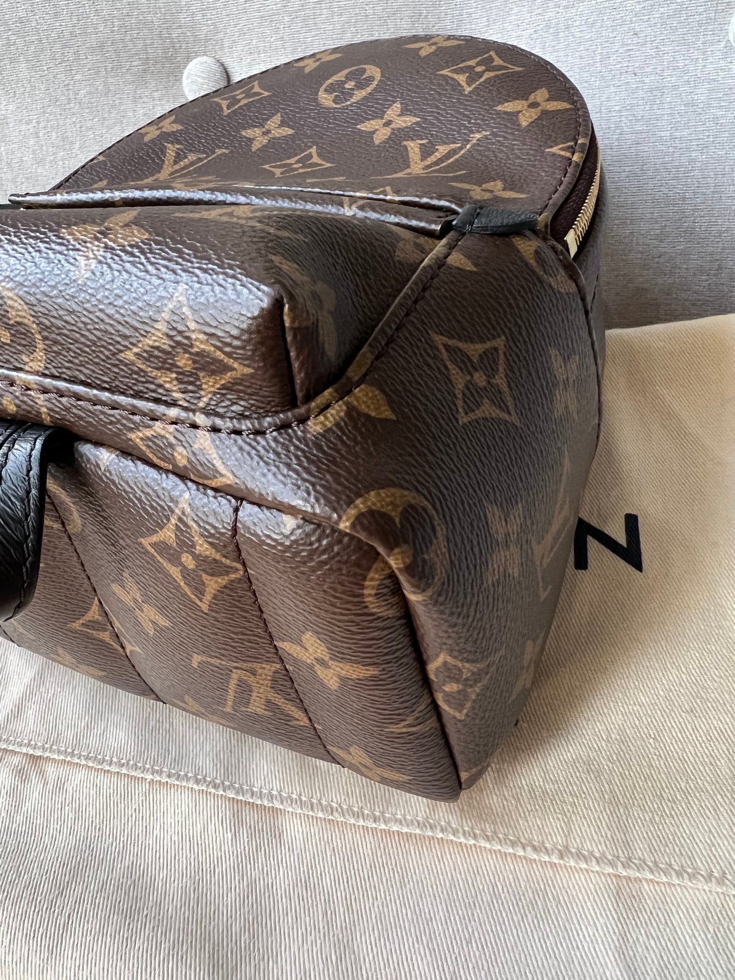 Louis Vuitton Palm Springs Mini Backpack (RRP £1,740)