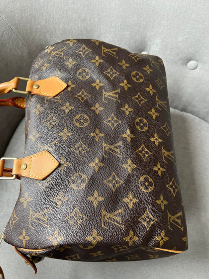 Louis Vuitton Speedy 30 Monogram