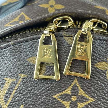 Louis-Vuitton Palm Springs PM Monogram Brown GHW