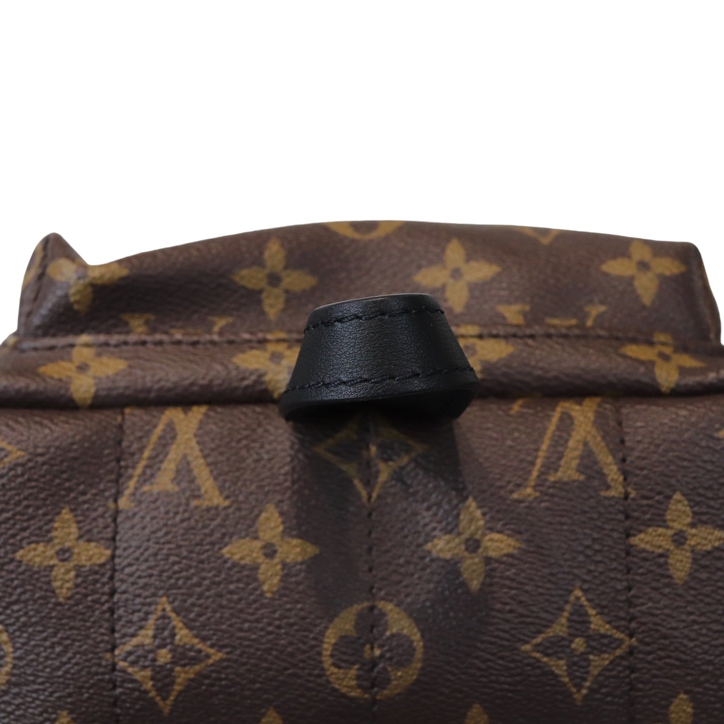 Louis-Vuitton Monogram Palm Springs PM Backpack
