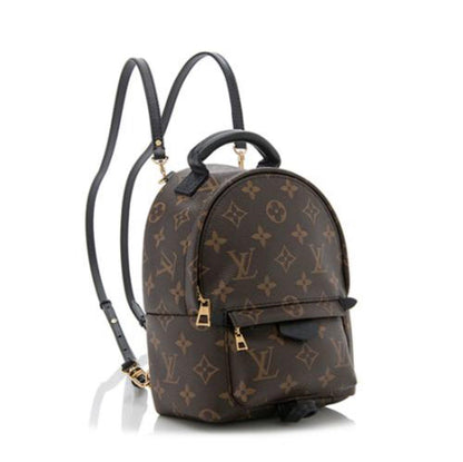 Louis Vuitton Palm Springs Mini Backpack