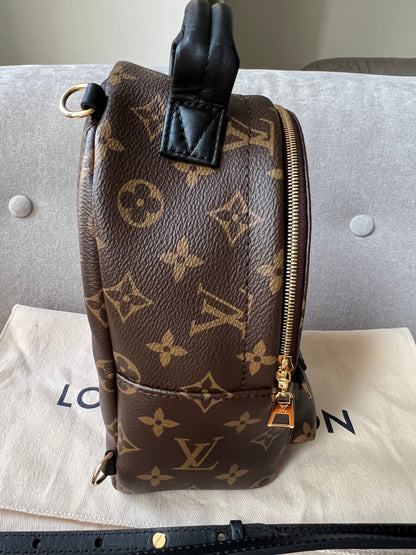 Louis Vuitton Palm Springs Mini Backpack (RRP £1,740)